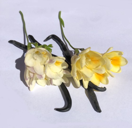 floral vanilla